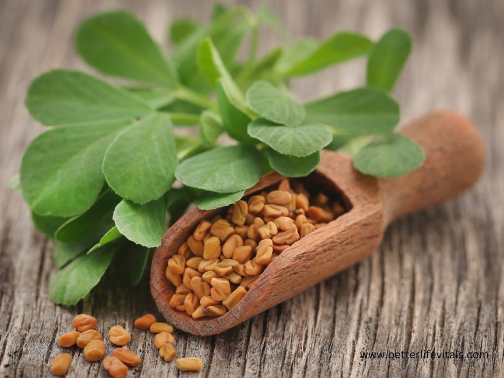 Fenugreek seed